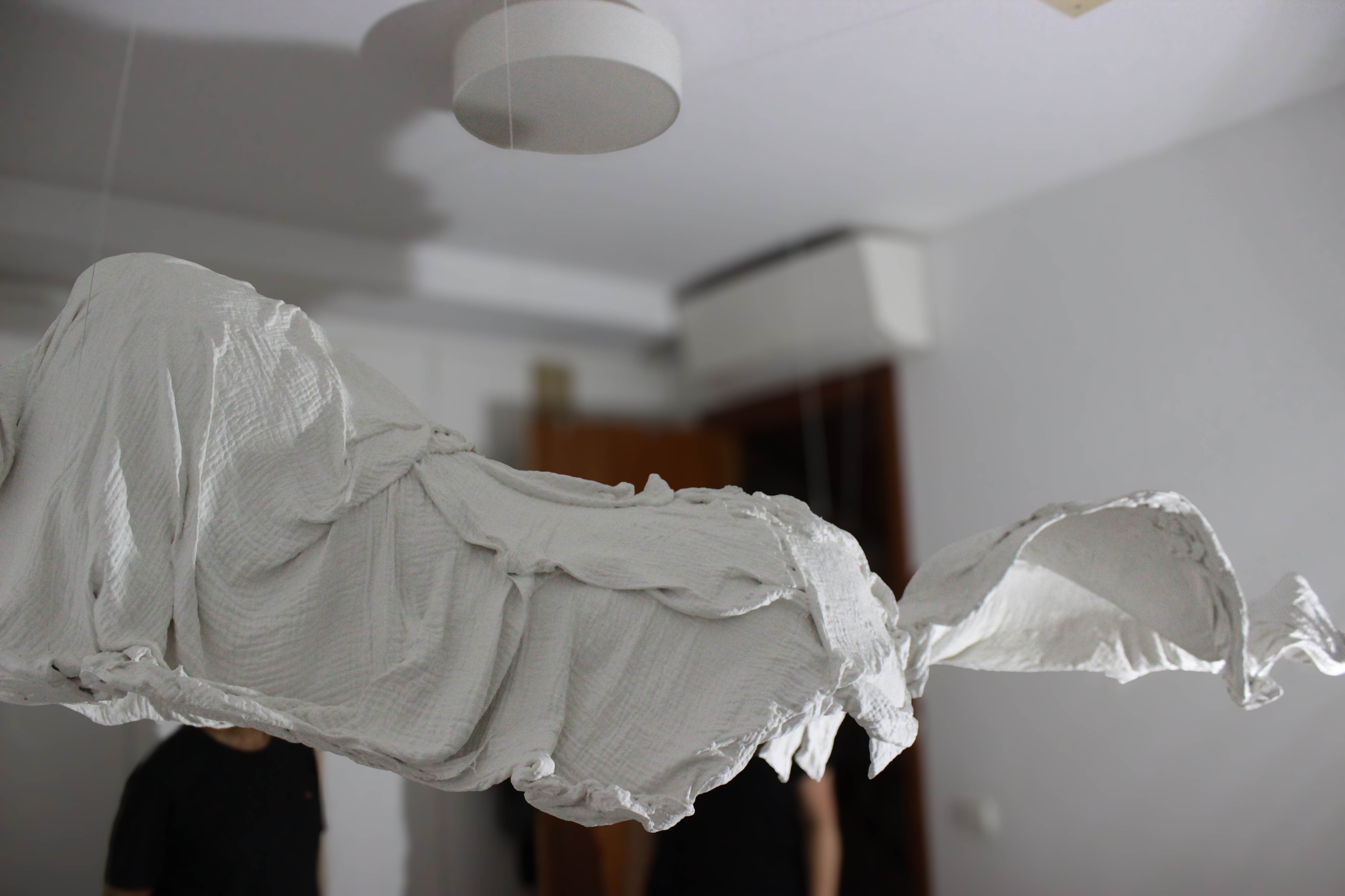 Perspectiva 5